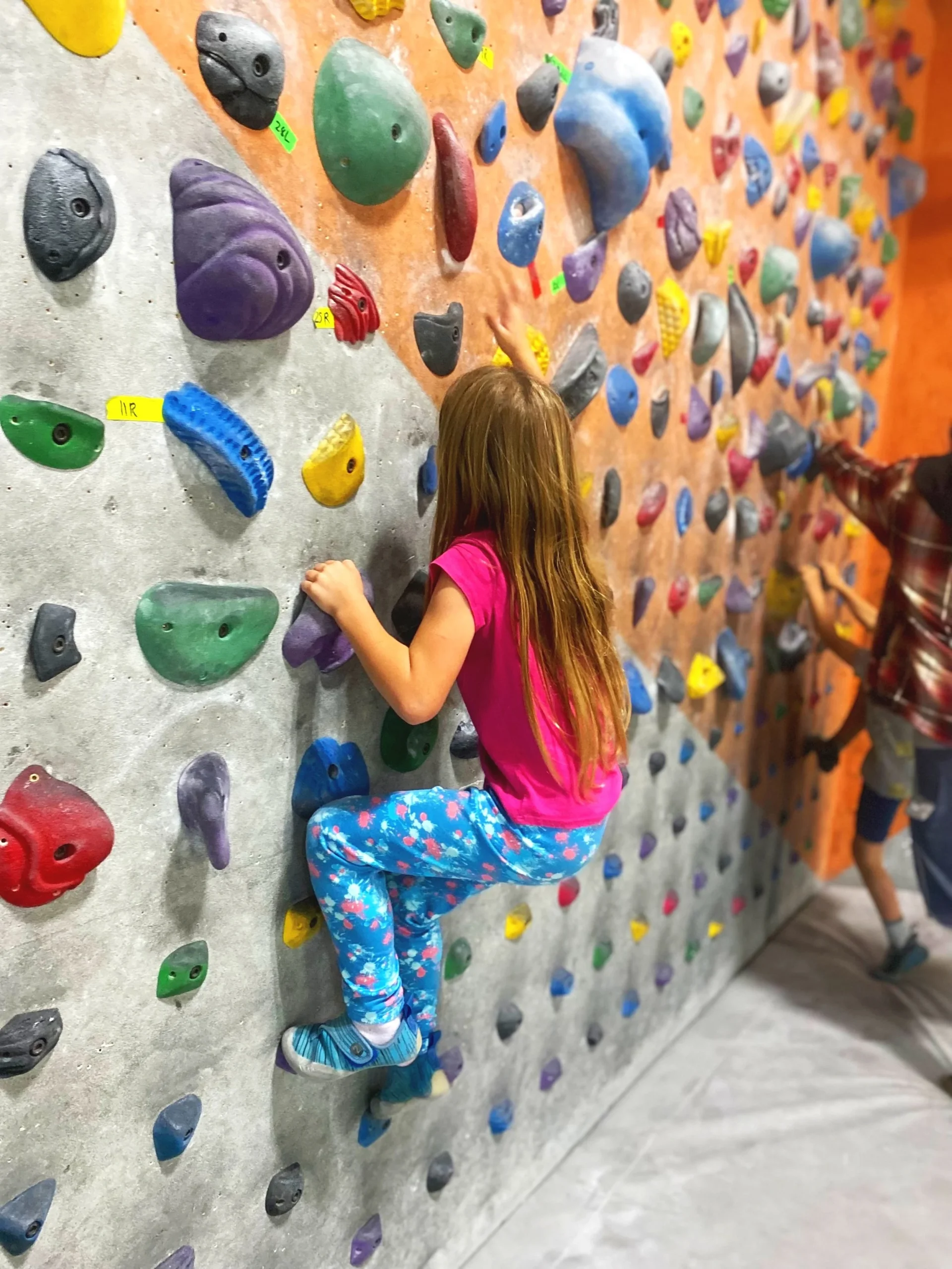 Indoor Rock Climbing & Bouldering in San Diego - The Wall Climbing Gym